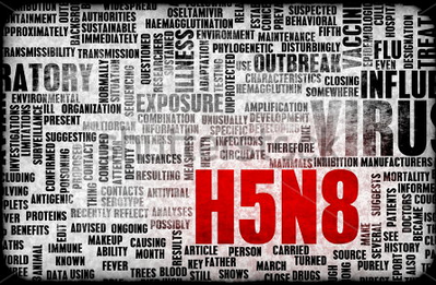 H5N8 Virus Alert
