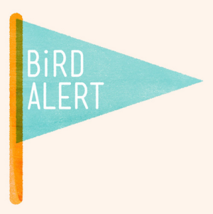 Bird Alert