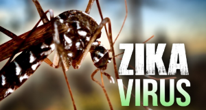 Zika Virus Alert